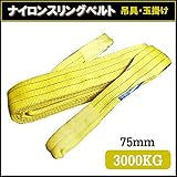 荷揚げ ロープ 吊上げナイロンスリングベルト2400ｋｇ75mm×8m