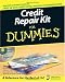 Credit Repair Kit For Dummies by Stephen R. Bucci
