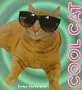 Cool Cat (Board Books)