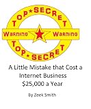 A Little Mistake that Cost a Internet Business $25,000 a Year