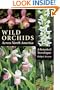 Wild Orchids Across North America: A Botanical Travelogue