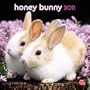 Honey Bunny 2011 7X7 Mini Wall