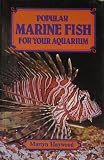 Popular marine fish for your aquarium
