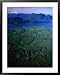 Aerial of Hinchinbrook Channel & Island, Hinchinbrook Island National Park, Australia Styles Framed Art Poster Print by Richard I'Anson, 31x39