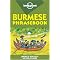 Lonely Planet Asian Phrasebooks