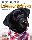 Training Your Labrador Retriever (Training Your Dog)