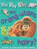 Why why why are orang-utans so hairy?