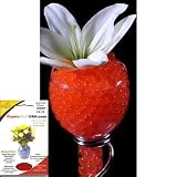 Crystal Soil USA(TM) Brand Premium Water Storing Accents Deco Gel Beads; RED 10g Pack