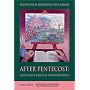 After Pentecost: Language and Biblical Interpretation (Scripture & hermeneutics series)
