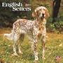 English Setters 2010 Square Wall