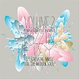 Buzzin Fly Volume 2