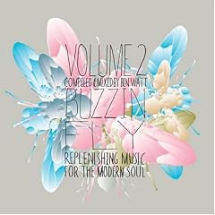 V2 Buzzin Fly Replenishing Mu