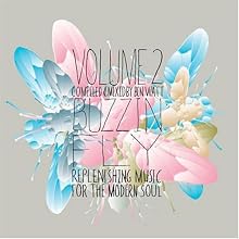 Buzzin' Fly, Volume 2