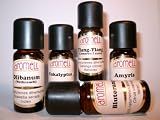 100% naturreines, ätherisches Öl BERGAMOTTE aus ITALIEN, 10 ml