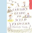 A Child's Guide...