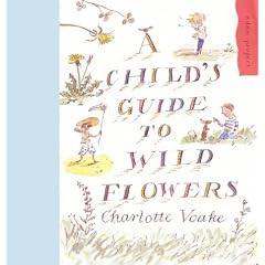 A Child's Guide to Wild Flowers (Eden Project Books)