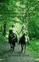Ride New York: 35 horse and multiple-use trails in the Empire State