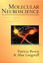 Molecular Neuroscience