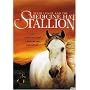Peter Lundy and the Medicine Hat Stallion