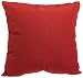 Throw Pillow, Brick