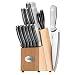 Ginsu 14-Piece Stainless Steel Knife Set with Block