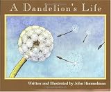 A Dandelions Life (Nature Upclose)