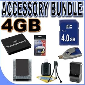 BigVALUEInc Accessory Saver Bundle for Panasonic Lumix DMCFX01, DMCFX07, DMCFX100,... by BigVALUEInc