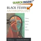 Click here to buy Black Feminist Anthropology: Theory, Politics, Praxis, and Poetics by  Irma McClaurin.