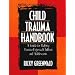 Child Trauma Handbook: A Guide for Helping Trauma-exposed Children and Adolescents