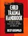 Child Trauma Handbook: A Guide for Helping Trauma-exposed Children and Adolescents