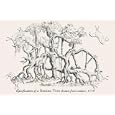 Canvas Print, Ramification of a Banian Tree - 18 x 12