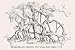 Art Poster, Ramification of a Banian Tree - 27.5 x 18.75