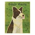 Border Collie framed print - John Golden 12x15