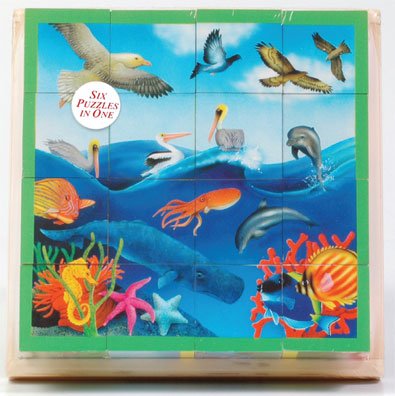 Childrens Toyshop  Toys : CHRISTIAN BIBLE PUZZLES Days of Creation Cube Puzzle