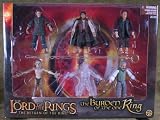 Review Toybiz  / Burden Of The One Ring Lord Of The Rings Gift Set