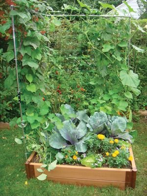 Backyard Landscaping with Privacy Screens