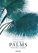 Martius, Book of Palms