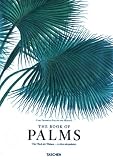 Martius, Book of Palms
