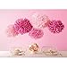 Martha Stewart Crafts Pom Poms, Pink, 2 Sizes