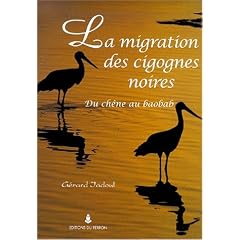 Migration des cigognes noires