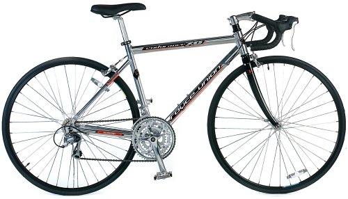 Royce Union Endurance Men's 26-Inch Road Bike