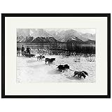 Alaskan Dog Team Framed Print