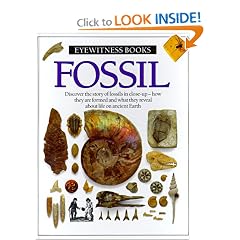 Fossil (Eyewitness Books)