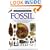Fossil (Eyewitness Books)