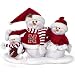 Nebraska Cornhuskers Table Top Snow Family