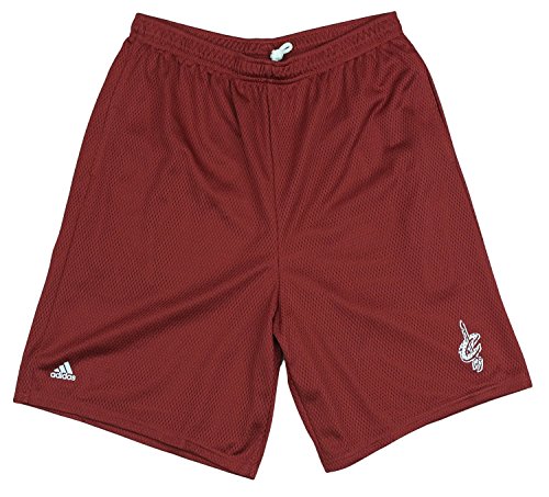 Cleveland Cavaliers NBA Men's Double Layer Basketball Mesh Shorts With Pockets, Wine By Adidas