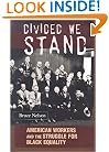 Divided We Stand: American Workers and the Struggle for Black Equality (Politics and Society in Twentieth Century America)