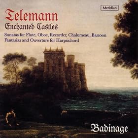 Sonata For Recorder & Continuo In D Minor: Solo 4 from Essercizii Musici: Presto