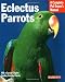 Eclectus Parrots