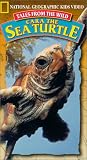  : Tales From the Wild: Cara the Sea Turtle (National Geographic Kids)